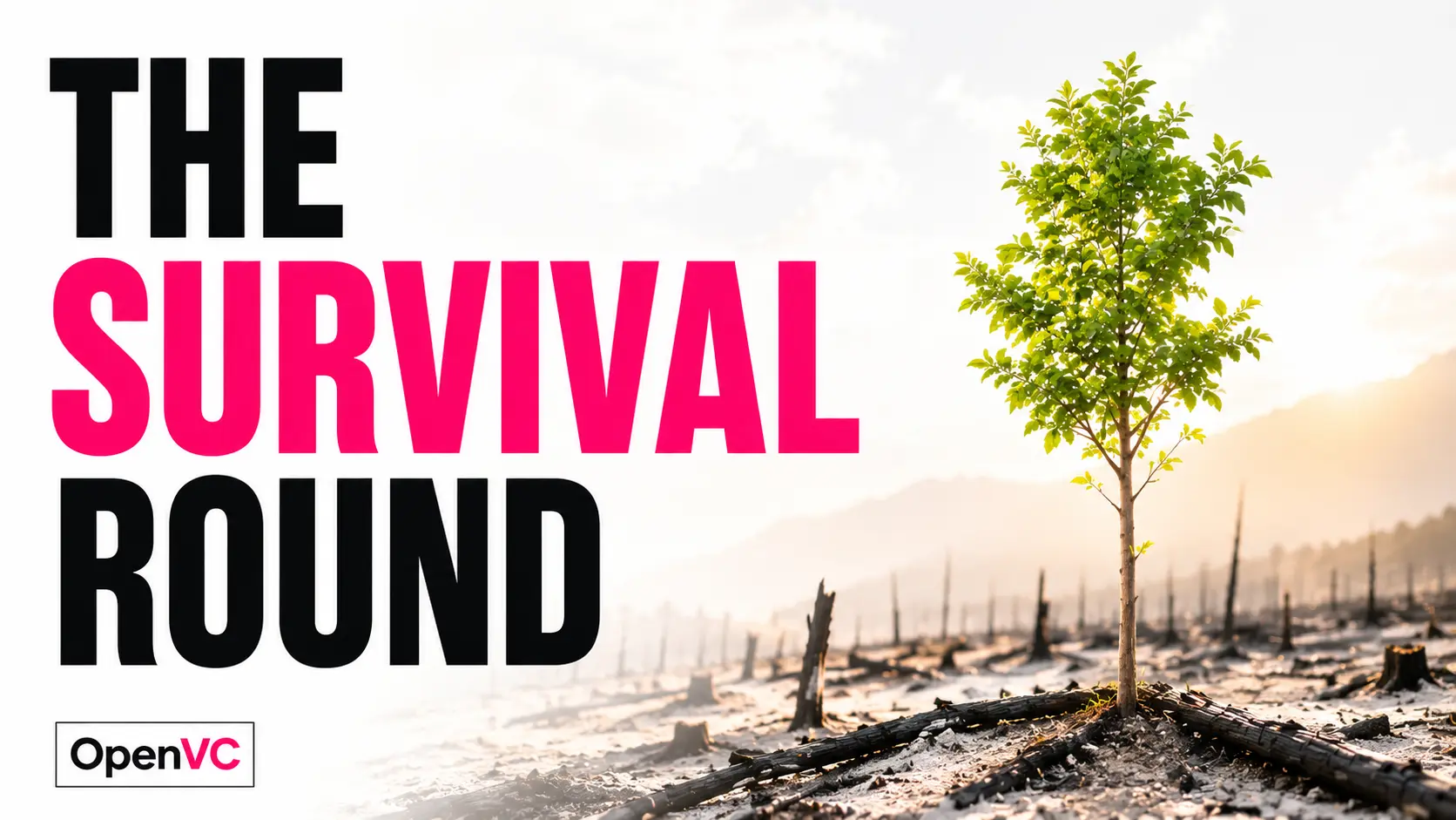 How to Get Seed Funding for Your Startup (2026 Guide)
