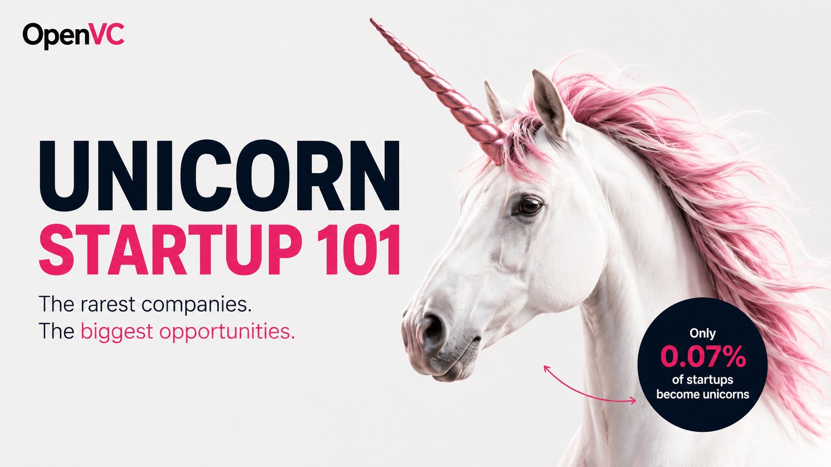 Unicorn Startup 101