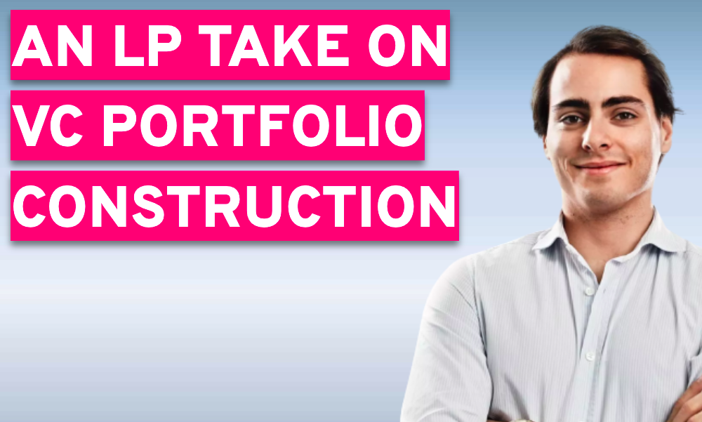 An LP take on VC portfolio construction