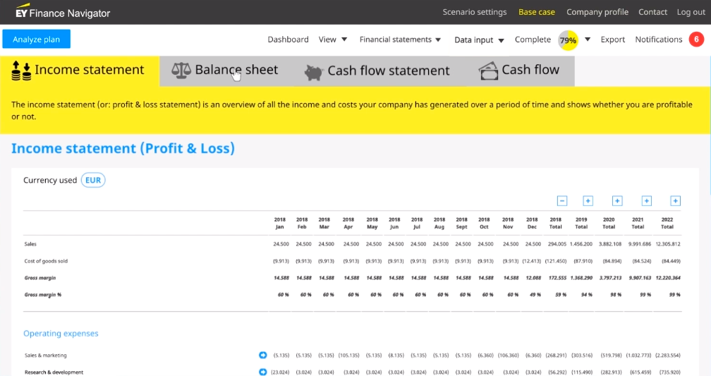 income statement by EY