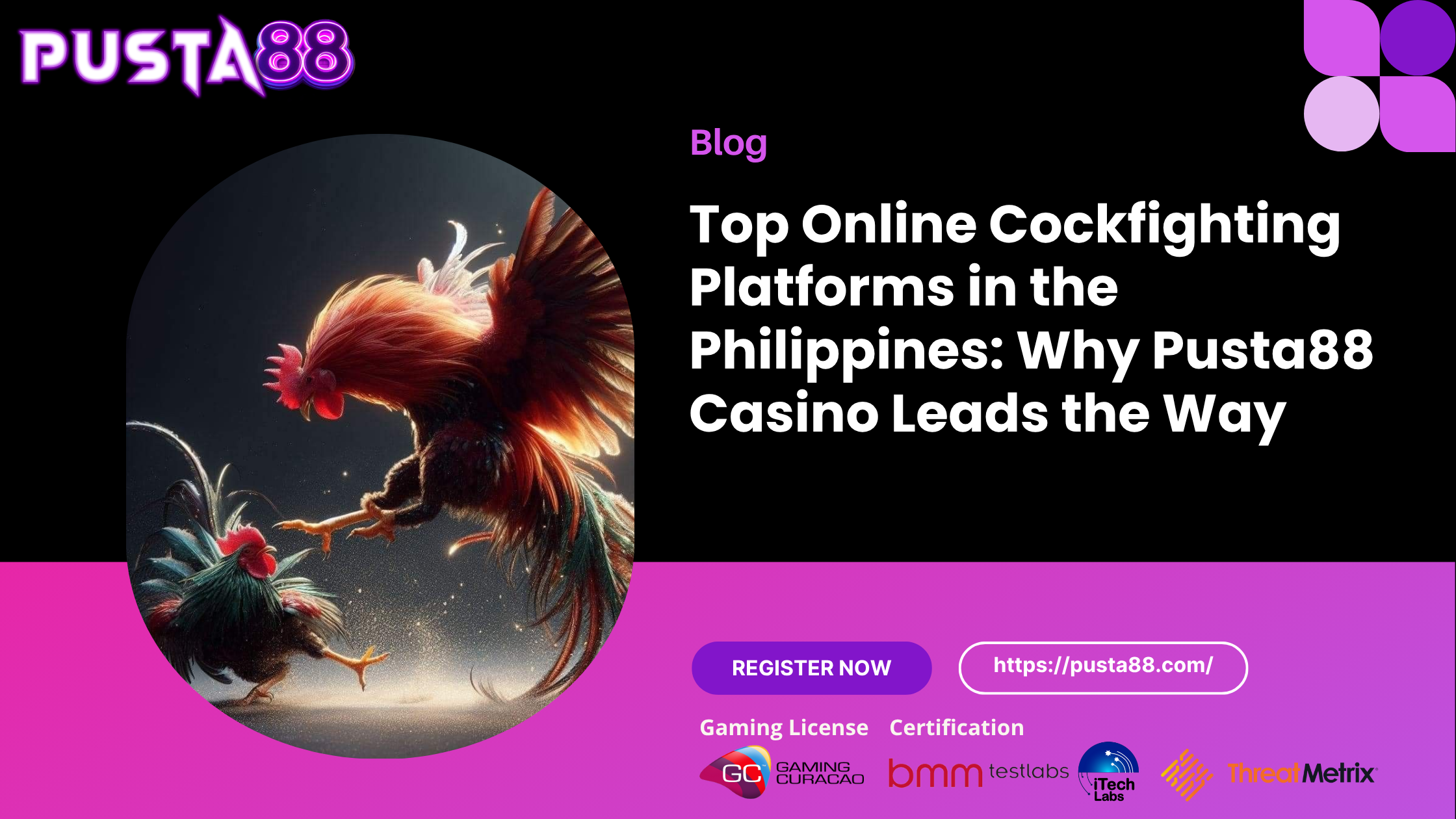 Pusta88 Online Cockfighting