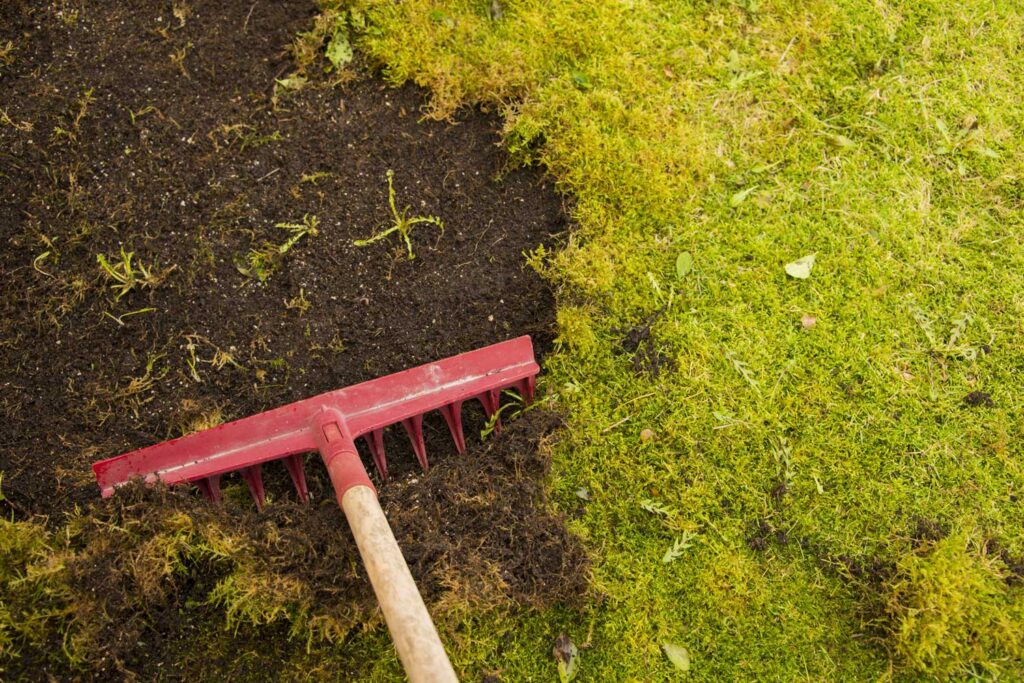 Grass Removal Services In Las Vegas To Comply With The Water District Conservation Plan
