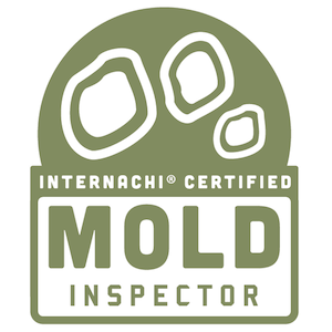 Mold Inspector