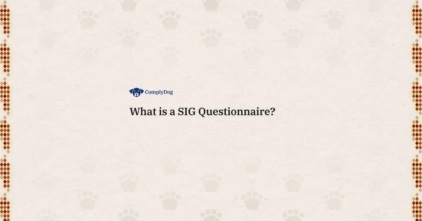 What is a SIG Questionnaire?