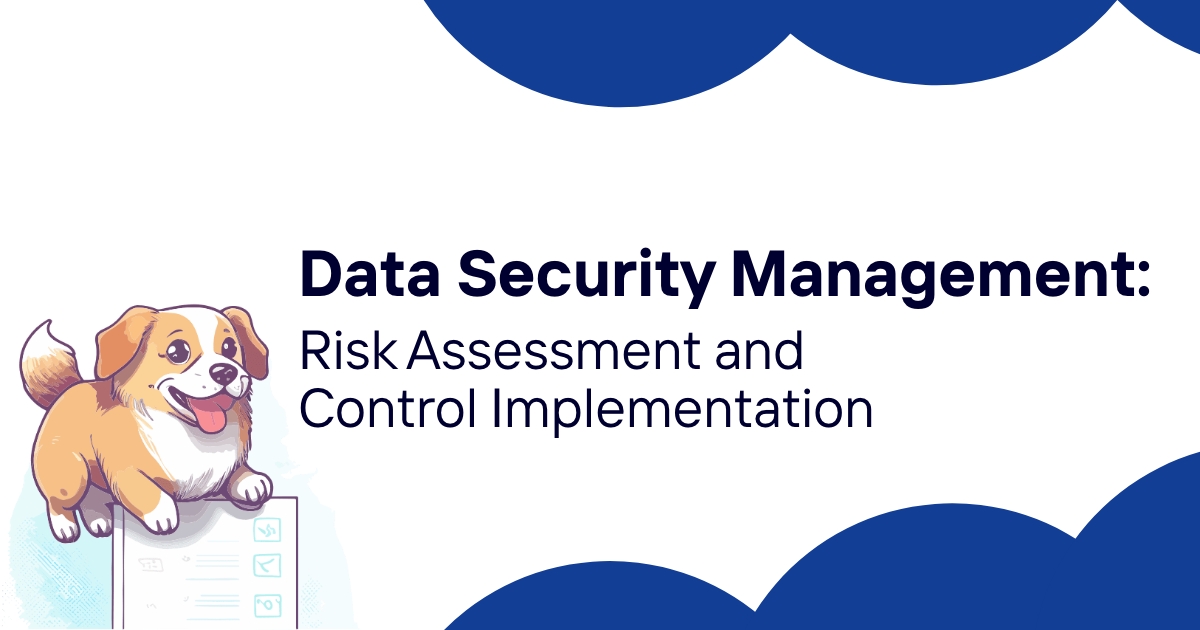 Data Security Management: Risk Assessment and Control Implementation 