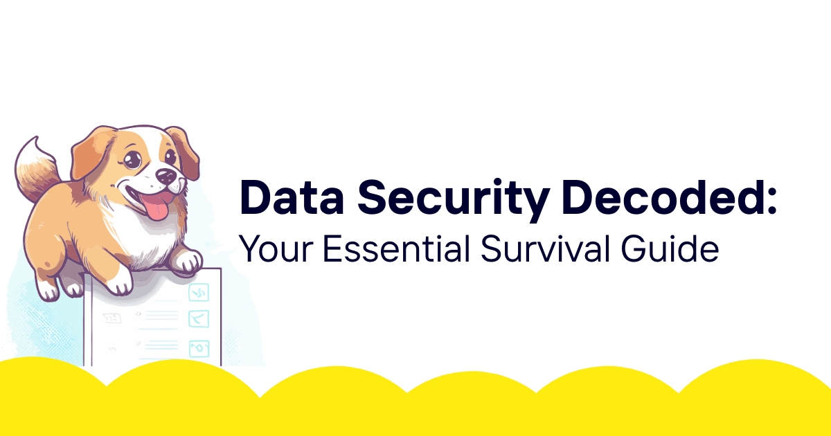 Data Security Decoded: Your Essential Survival Guide