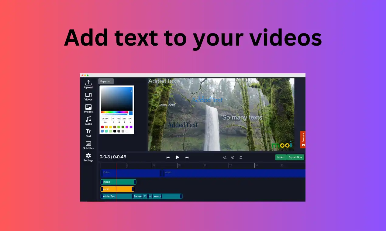 add text to video