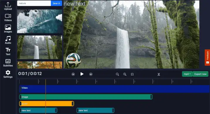 Online video editor with no watermark