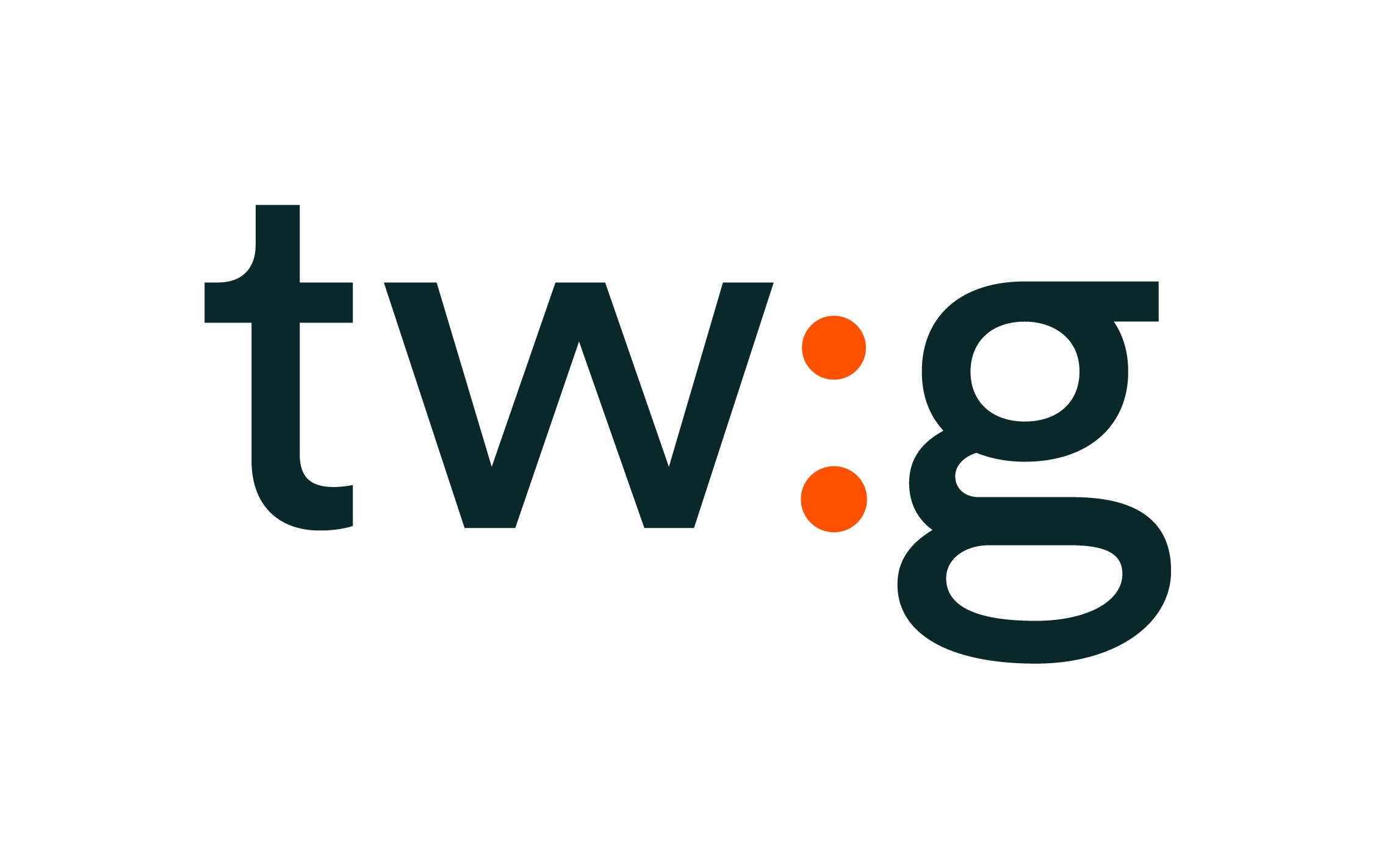 logo of the company tw:g
