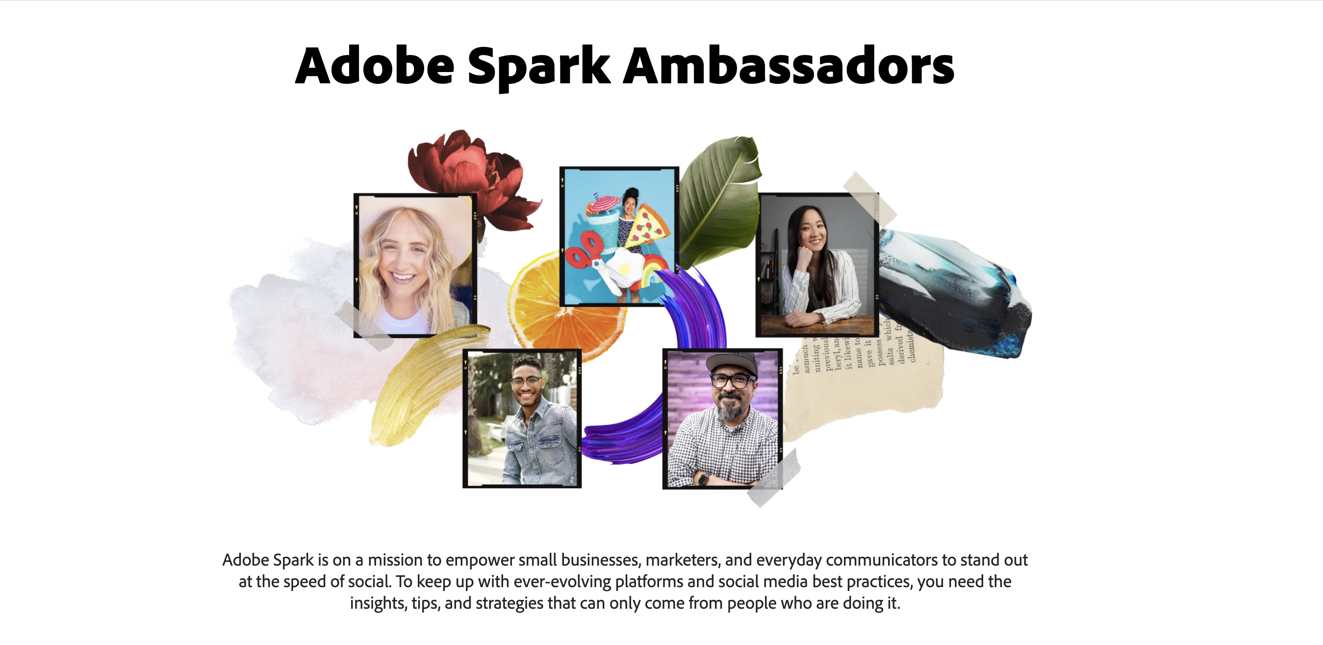 Adobe Spark Ambassadors
