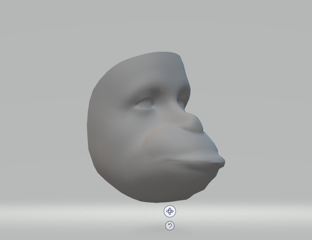 face mesh