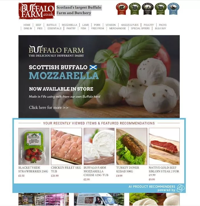 The Buffalo Farm’s use of AI product recommendations on the homepage